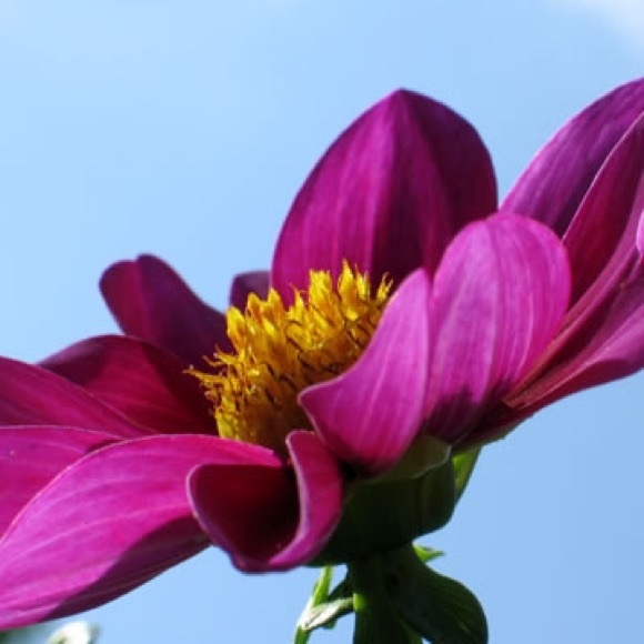 Meet your Posher, Mary - Picture 1 of 1